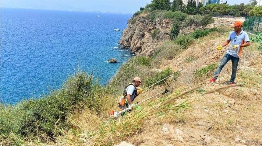 Falezler Temizleniyor