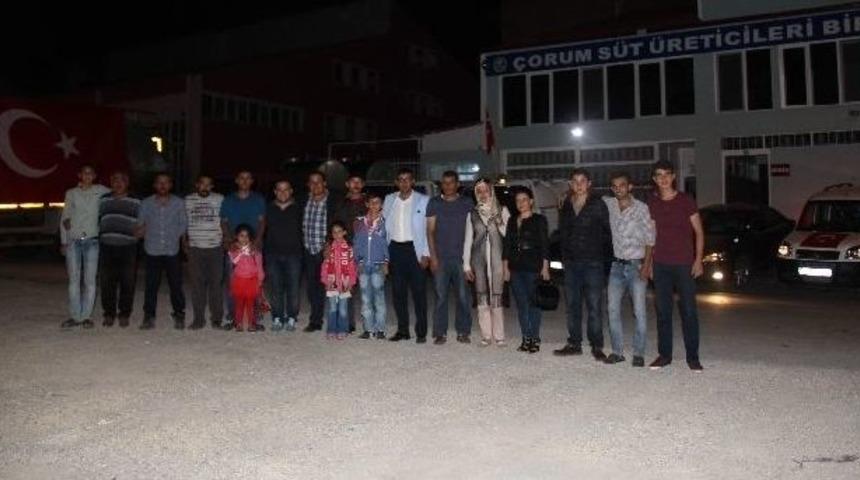 S&uuml;t Toplama Ara&ccedil;ları Demokrasi İ&ccedil;in Yollarda