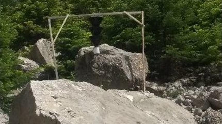 Emli Boğazındaki G&ouml;knar Ağa&ccedil;ları İstilacı Otlardan Temizlenecek