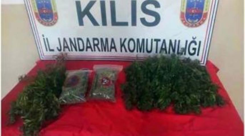 Kilis&rsquo;te Kubar Esrar İle Hint Keneviri Ele Ge&ccedil;irildi