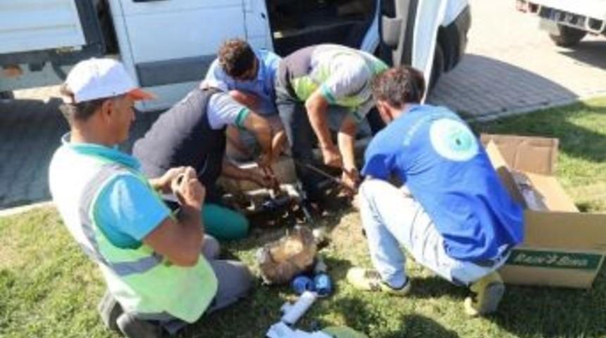 Burhaniye’de Yeşil Alanlar Otomatik Sulanacak