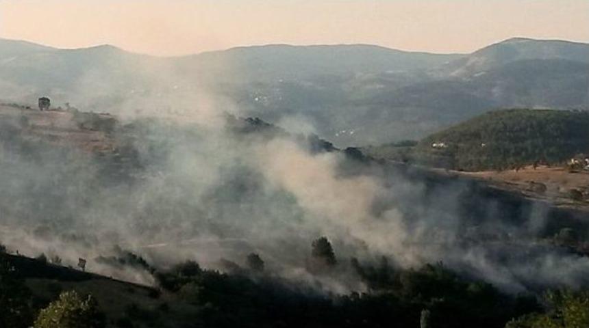 Havran&rsquo;da Orman Yangını