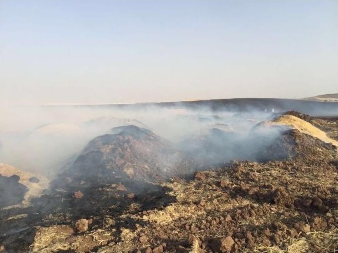 Anız Yangını, Hayvan &Ccedil;iftliğini K&uuml;le &Ccedil;evirdi