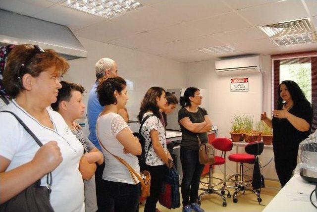 Eskişehir’de "ekmeğin Serüveni" Projesi Başladı 1