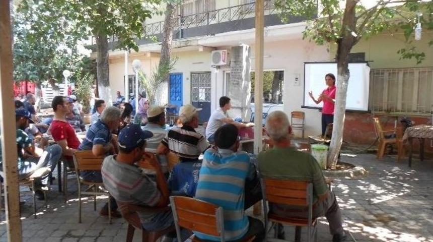 Domates Zararlısı Erken Uyarı Sistemiyle Tespit Edilecek