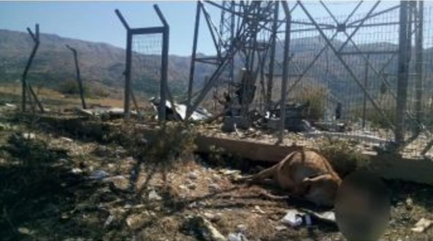 Kulp&rsquo;ta Baz İstasyonunda Patlama