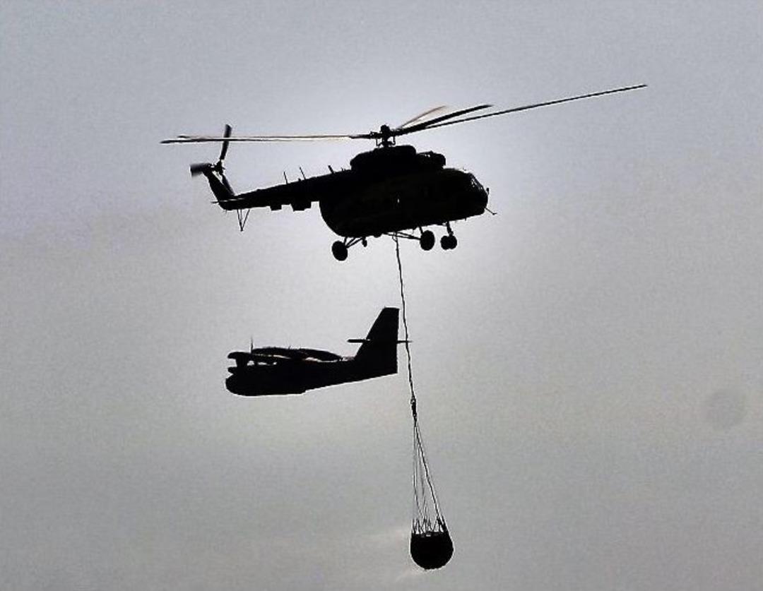 Bodrum&rsquo;da Y&uuml;zlerce &Ccedil;am Ağacı K&uuml;le D&ouml;nd&uuml;