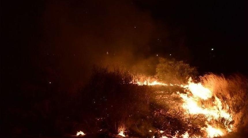 Tatil Sitelerinin &Ouml;n&uuml;nde &Ccedil;ıkan Yangın Korkuttu