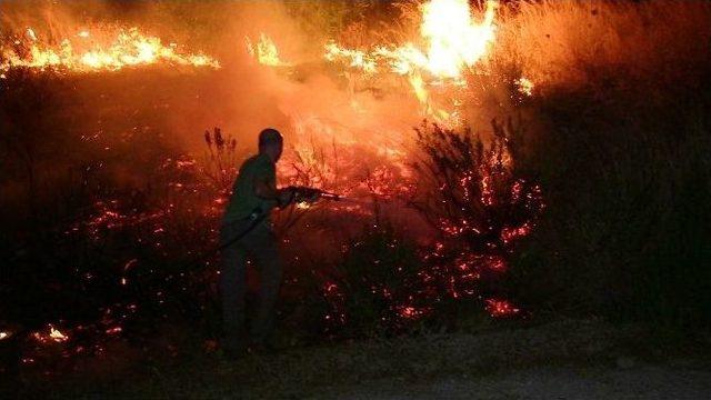 Tatil Sitelerinin Önünde Çıkan Yangın Korkuttu