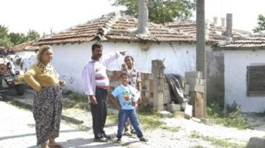 Pire Ve Uyuz K&ouml;pekler Y&uuml;z&uuml;nden Evlerinde Uyuyamıyorlar