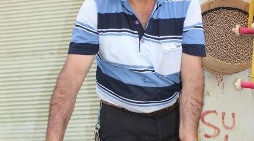 Kilis&rsquo;te Sumak Ekşisi Piyasada