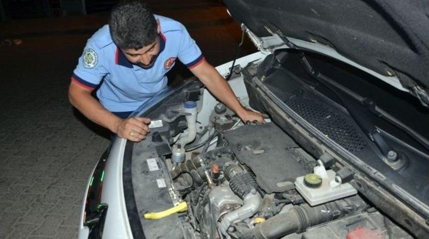 İtfaiye, Yavru Kedi İ&ccedil;in Seferber Oldu