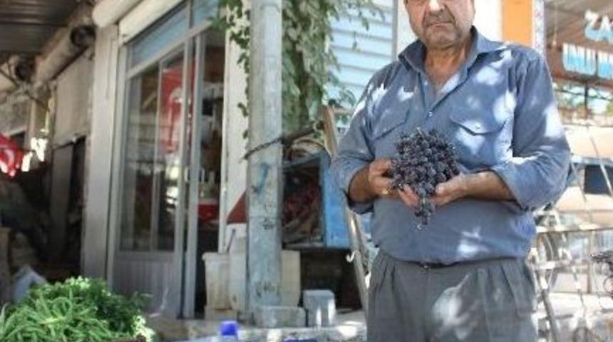 Kilis&rsquo;te Horozkarası &Uuml;z&uuml;m&uuml; &Ccedil;ıktı