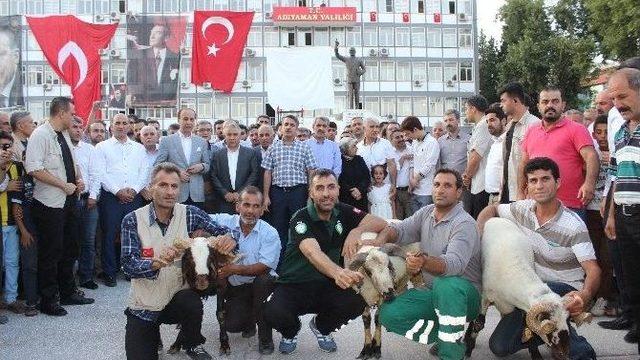 Adıyaman’da 100 Adet Şükür Kurbanı Kesildi