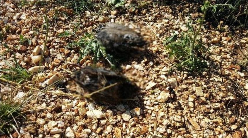 Bilecik&rsquo;te Yangın