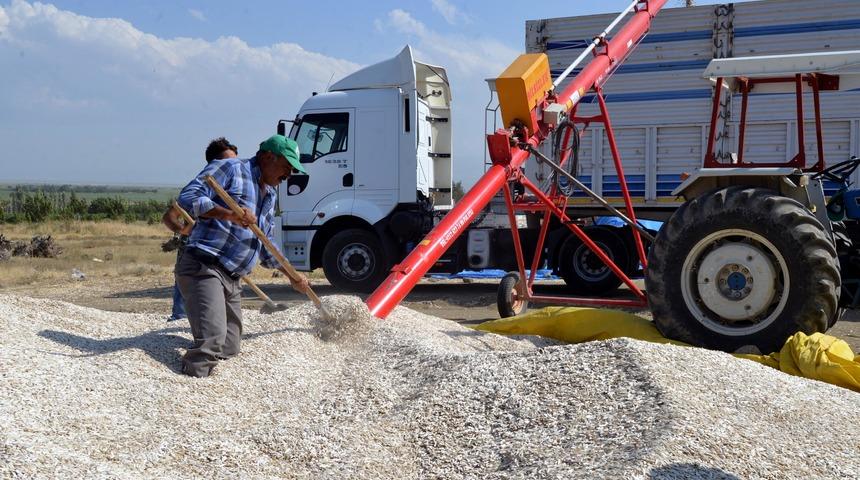 Kayseri'de çerezlik ay çekirdeğinin başfiyatı belirlendi