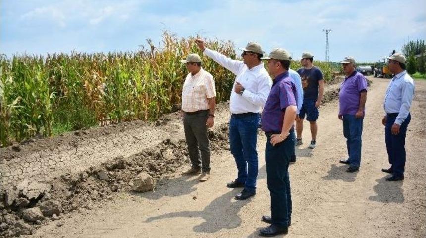 T&uuml;rk Tarımının Geleceği &ldquo;milli&rdquo; Tohumda