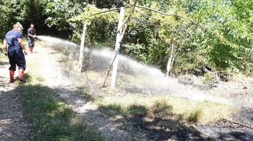 Sinop&rsquo;ta Ot Yangını Korkuttu