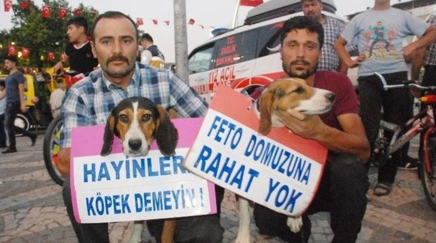 &ldquo;hainlere K&ouml;pek Demeyin&rdquo;