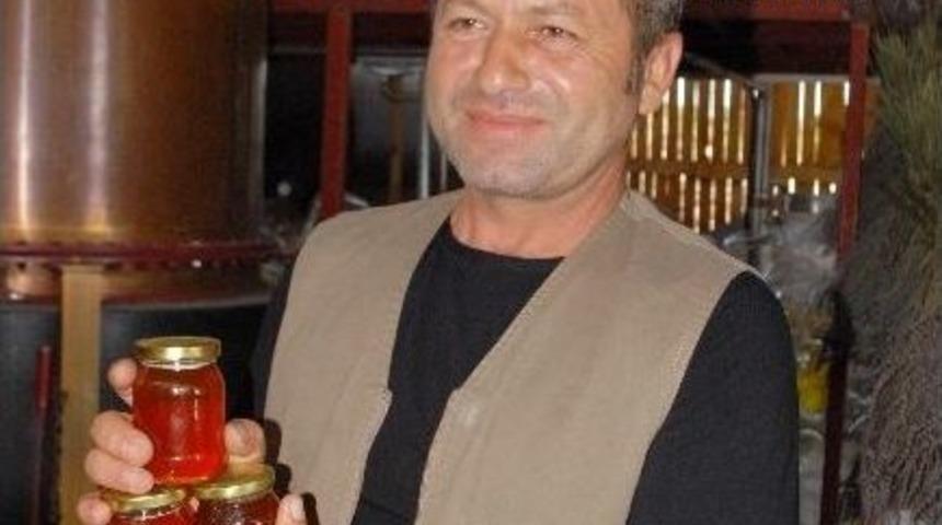 Organik İla&ccedil;: Ada&ccedil;ayı Balı