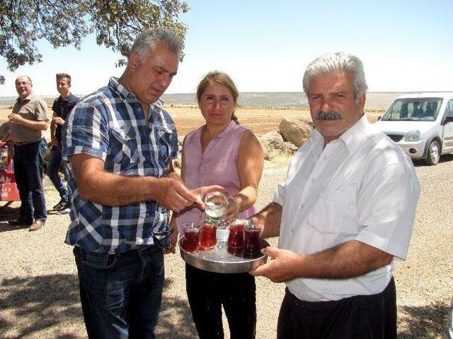 Alevi Vatandaşlar Daragir Ziyaretine Çevre Düzenlemesi İstiyor