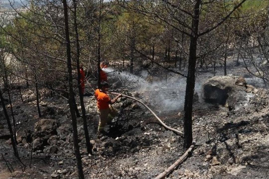 Mersin&rsquo;de Orman Yangını