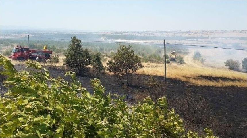 Biga&rsquo;da Orman Yangını