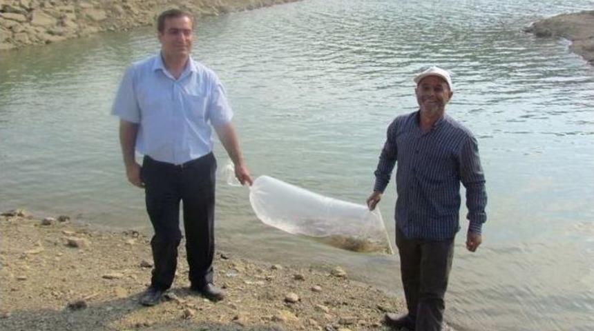 H&uuml;y&uuml;k&rsquo;&uuml;n G&ouml;letlerine 10 Bin Yavru Sazan