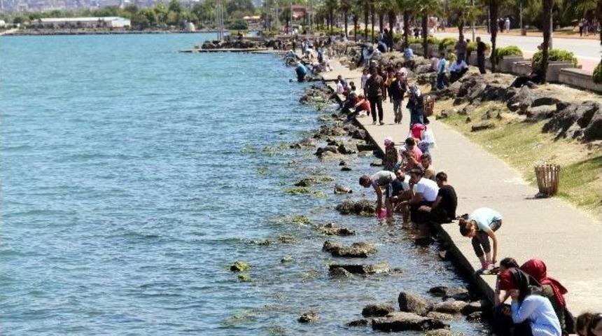 Vatandaşlar Sahillere Akın Etti