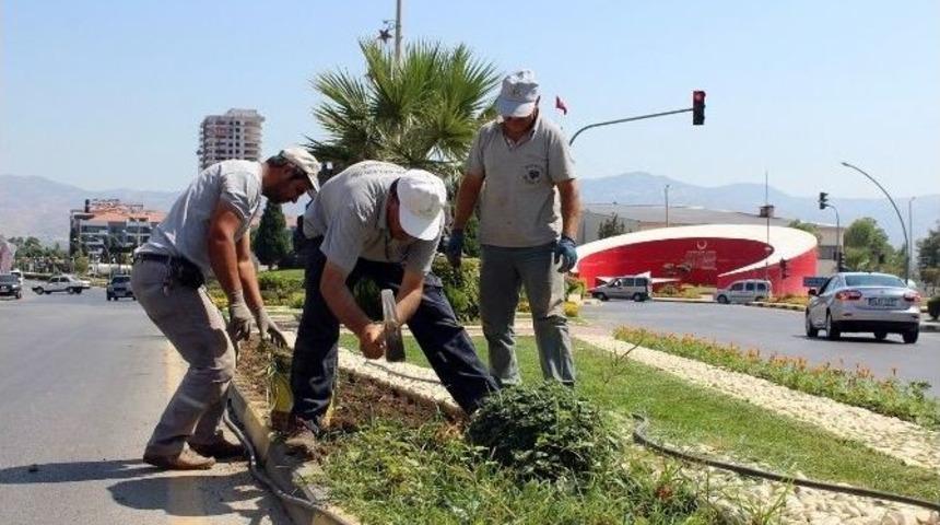 Alaşehir&rsquo;de Parklar Ve Kavşaklar &Ccedil;i&ccedil;ek A&ccedil;tı