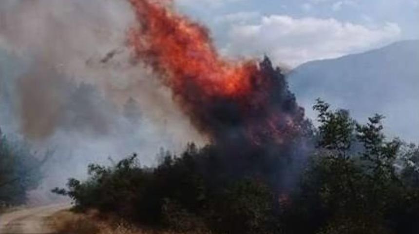 Kastamonu&rsquo;da 4 Samanlık Ve 50 D&ouml;n&uuml;ml&uuml;k Ekili Tarım Arazisi Yandı