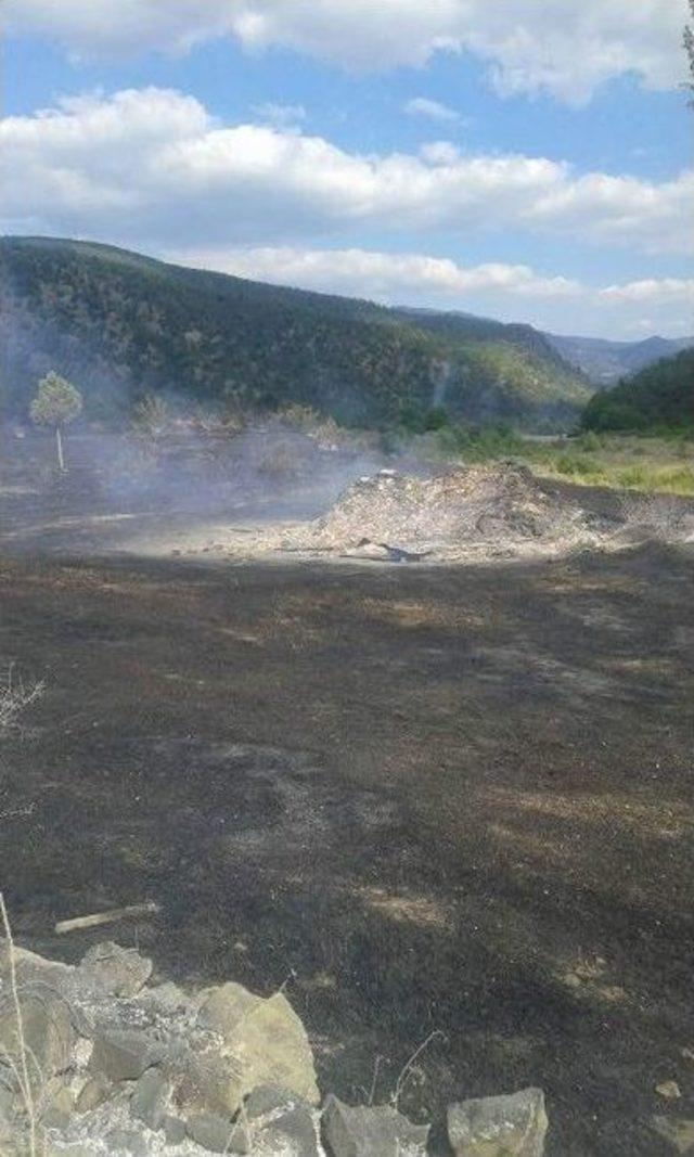 Kastamonu’da 4 Samanlık Ve 50 Dönümlük Ekili Tarım Arazisi Yandı