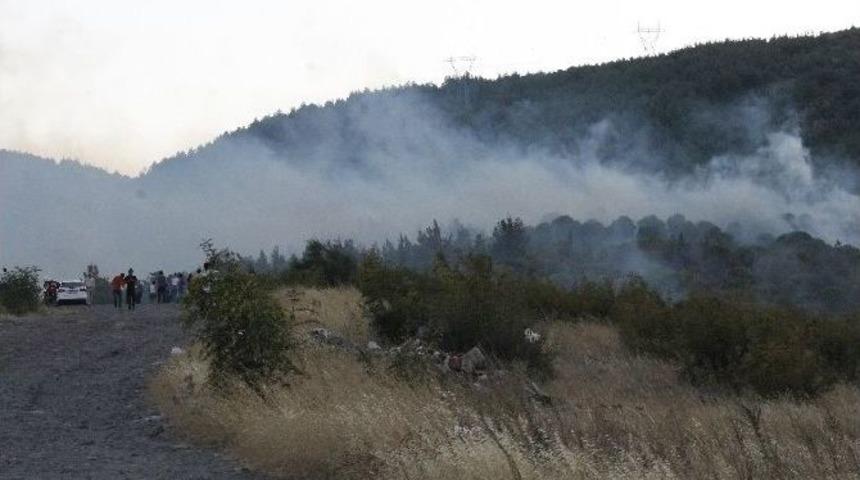 Balıkesir&rsquo;de 2 Hektarlık &Ccedil;am Ormanı K&uuml;l Oldu