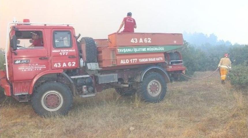 Tavşanlı&rsquo;da Orman Yangını
