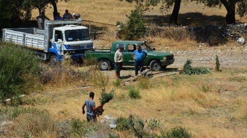 Söke’de Hazine Arazisini İzinsiz Kullanıma Geçit Yok