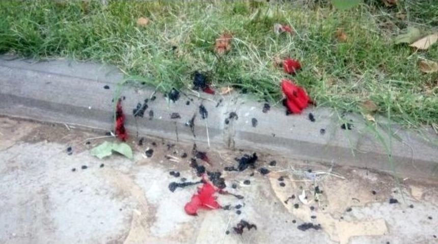 Bayrak Yakan Ter&ouml;r &Ouml;rg&uuml;t&uuml; Yandaşları Kıskıvrak Yakalandı