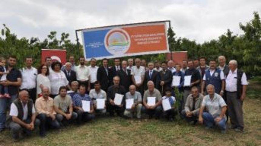 Mihalı&ccedil;&ccedil;ık&rsquo;ta "kirazda İyi Tarım Uygulamalarına Ait Tarla G&uuml;n&uuml;" Etkinliği