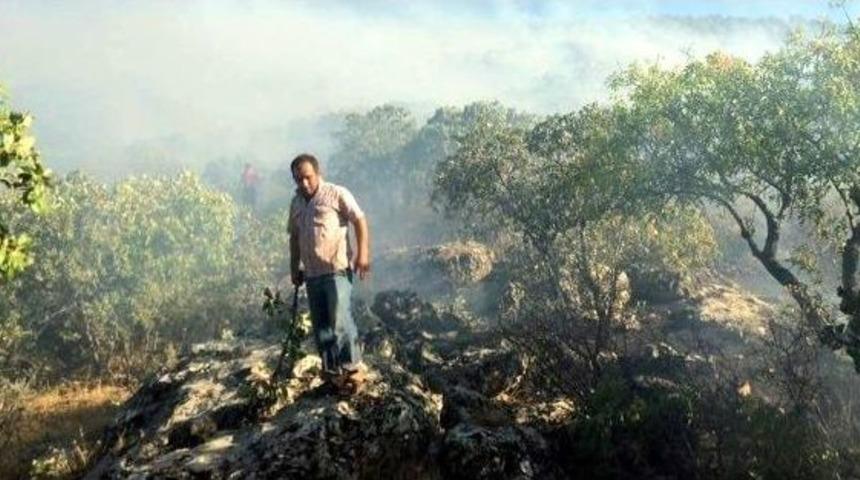 Fıstık Bah&ccedil;elerinde &Ccedil;ıkan Yangın Milletvekilinin Girişimi İle B&uuml;y&uuml;meden S&ouml;nd&uuml;r&uuml;ld&uuml;