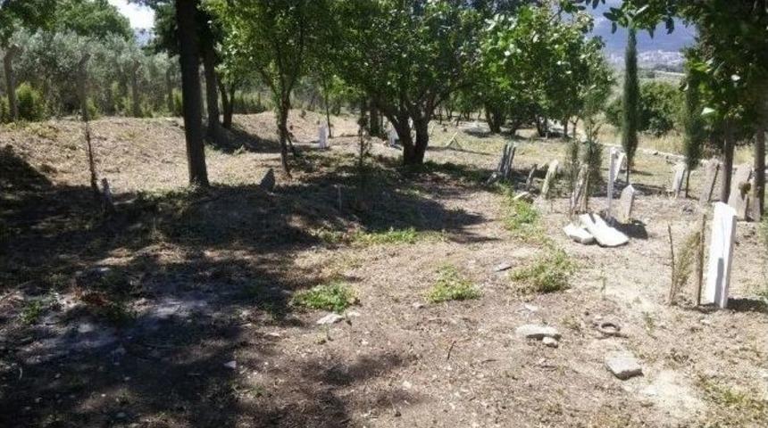 Soma&rsquo;nın Mezarlıklarında Titiz &Ccedil;alışma