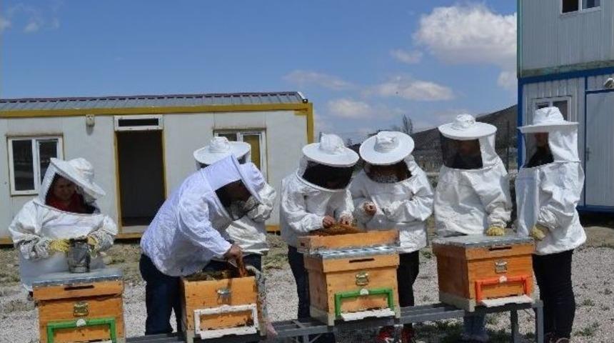 D&uuml; Arıcılık Programı Uygulamalı Eğitimiyle Fark Oluşturuyor