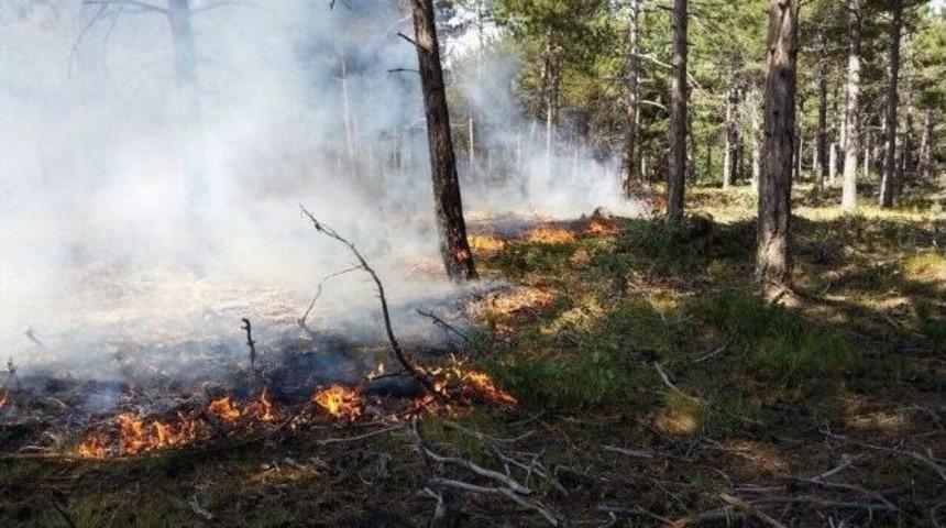 Boz&uuml;y&uuml;k&rsquo;te Orman Yangını