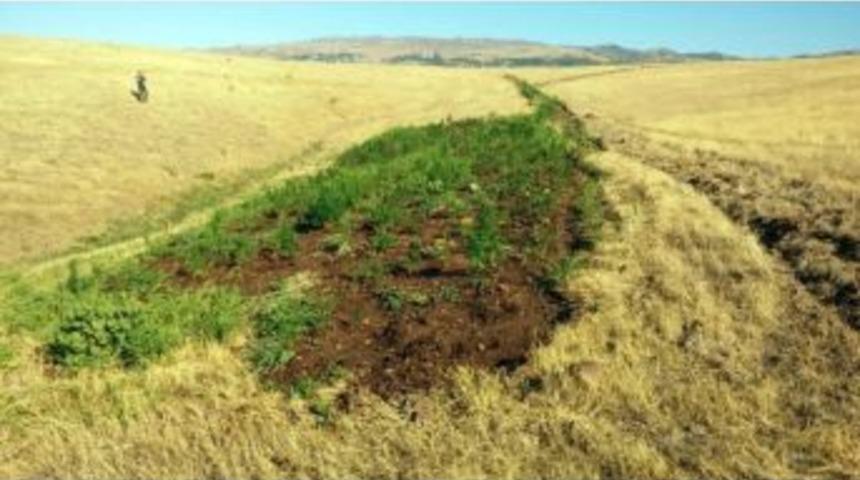 Bing&ouml;l&rsquo;de Uyuşturucu Operasyonu