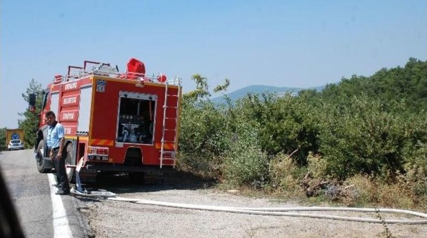 Bayrami&ccedil;&rsquo;te Orman Yangını