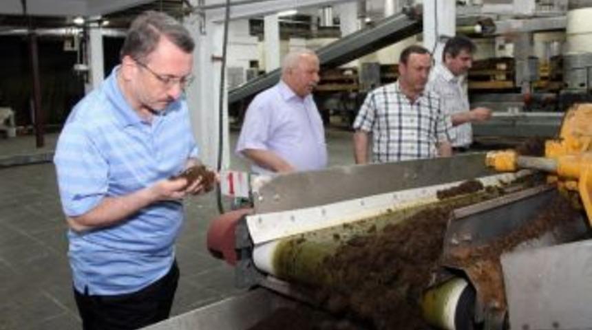 &Ccedil;ay Fabrikaları Tam Kapasite &Ccedil;alışıyor