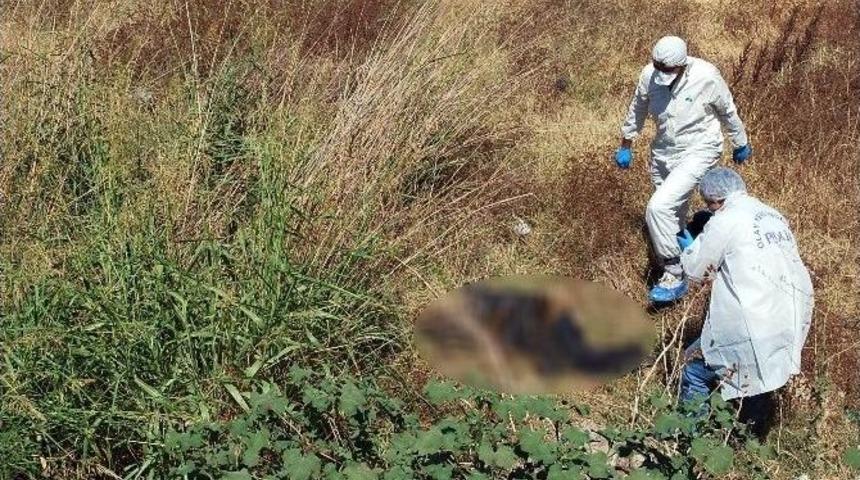 Manisa&rsquo;da Yol Kenarında Ceset Bulundu