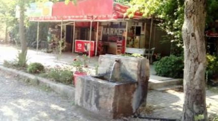 Marketten Ekmek, Bahçeden Domates Ve Biber Almışlar