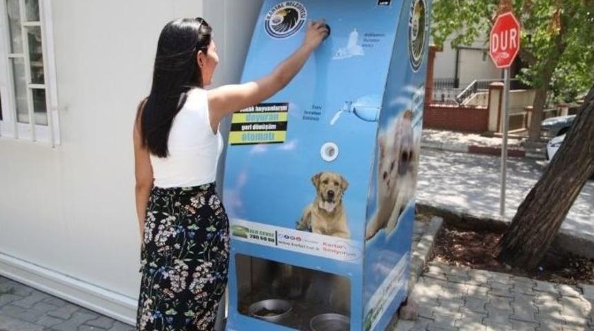 Kartal Belediyesi Sokak Hayvanlarını Unutmadı