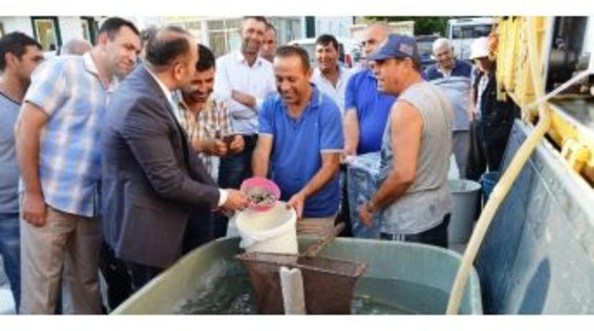 Afyonkarahisar&rsquo;daki G&ouml;l Ve G&ouml;letlere 130 Bin Adet Balık Bırakıldı