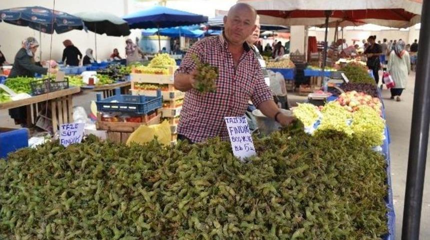 Bilecik&rsquo;te Yaş Fındık Tezgahlardaki Yerini Aldı