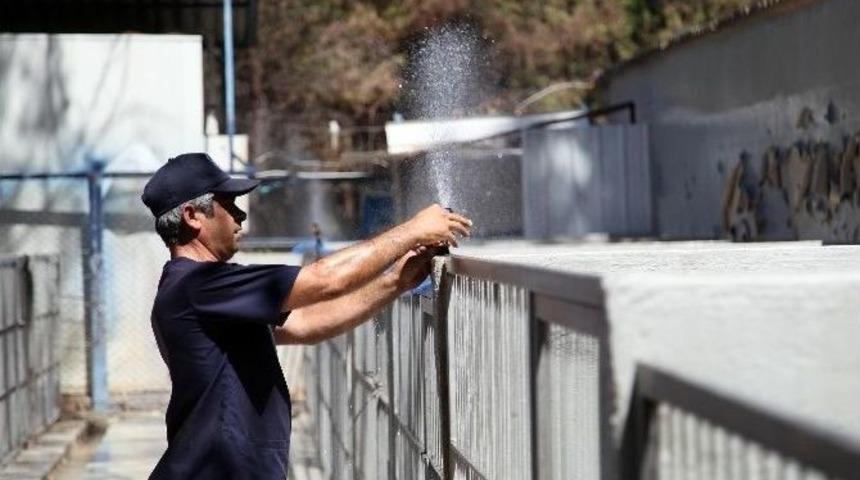 Sahipsiz Hayvanlara Fıskiyeli Serinlik